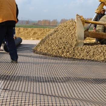 Geogrid